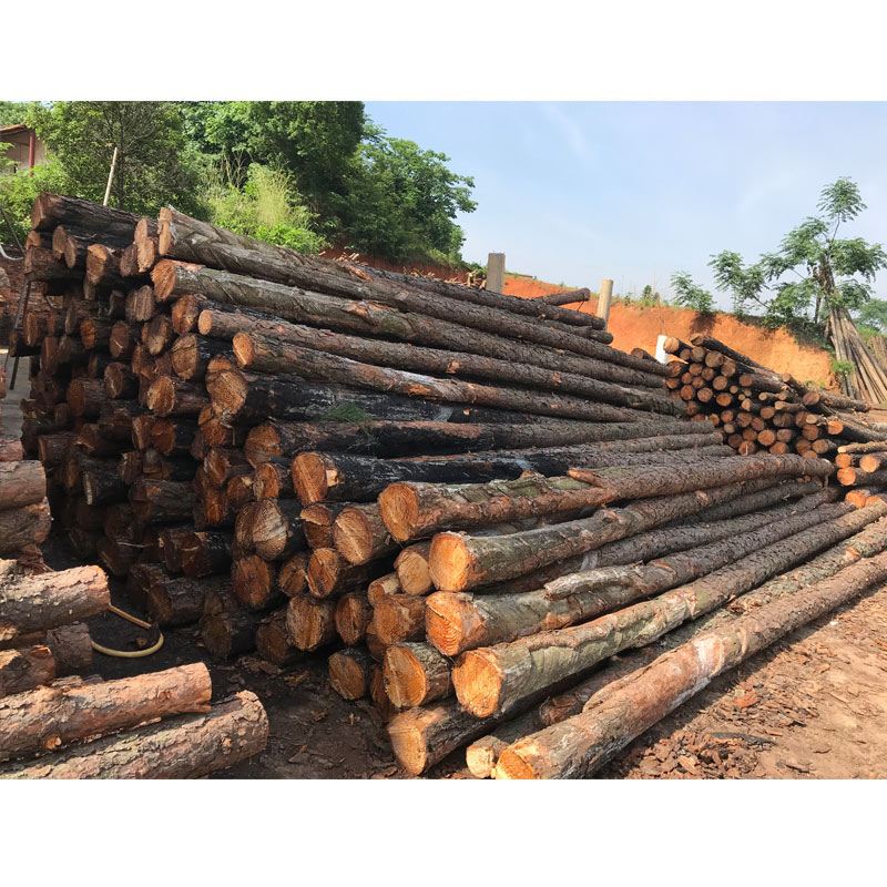 松木樁使用注意事項有哪些？