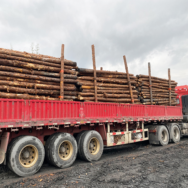 河道木樁報(bào)價(jià):河道(6米)松木木樁多少錢一米,原木樁多少錢？