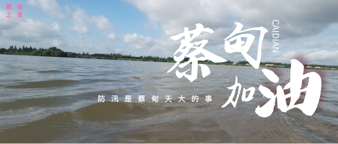 蔡甸區(qū)啟動防汛ⅰ級應急響應，做好鋪土釘防汛木樁工作