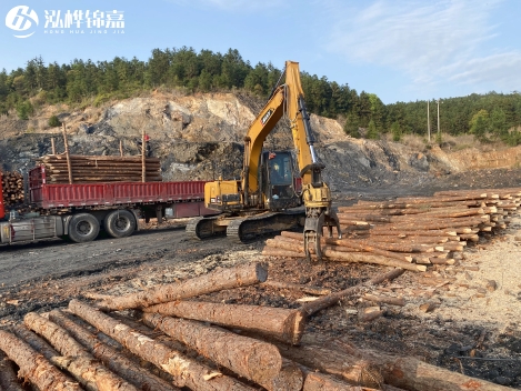 松木樁批發(fā)價(jià)格是多少？