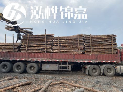 打樁木材為何首選松木？松木樁應(yīng)該怎么打樁施工