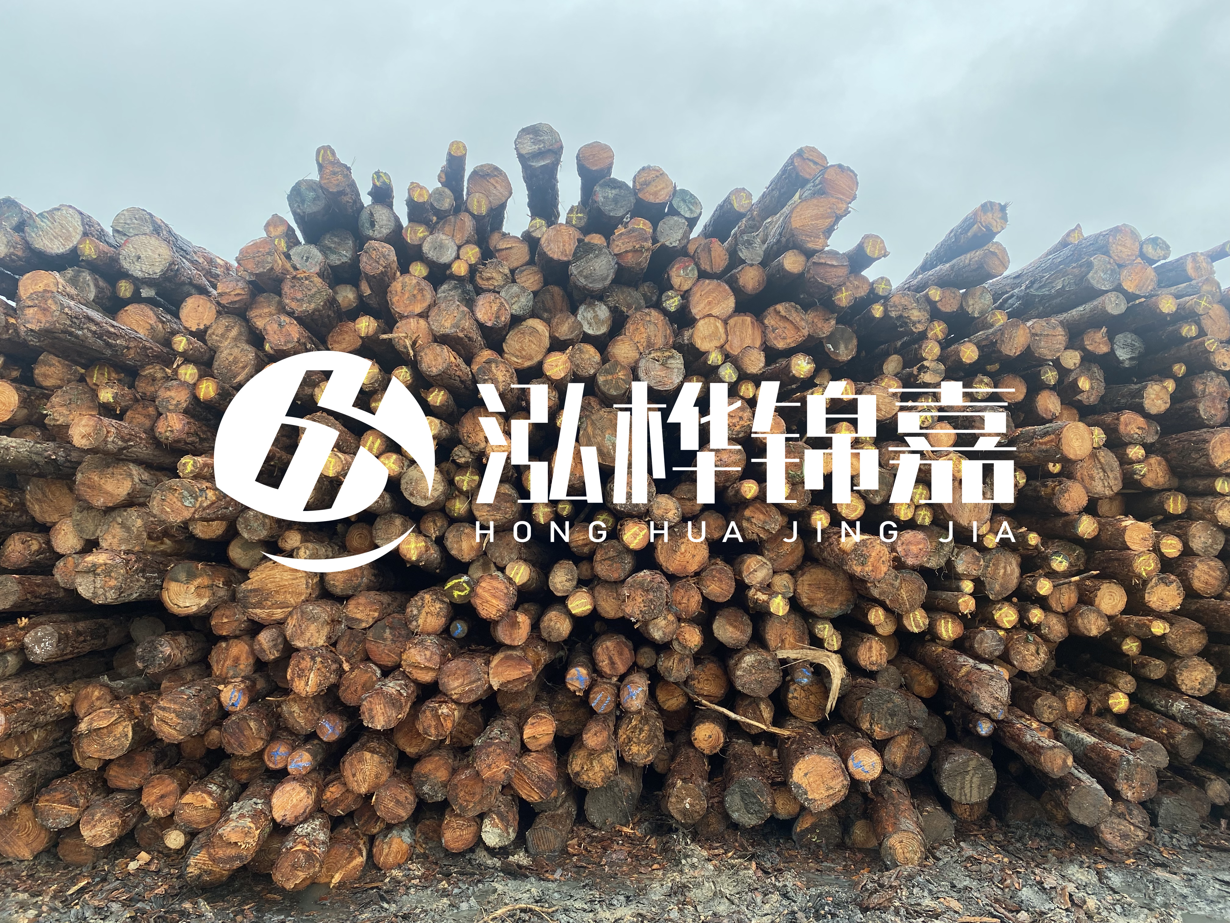 松木樁的直徑一般取多少？