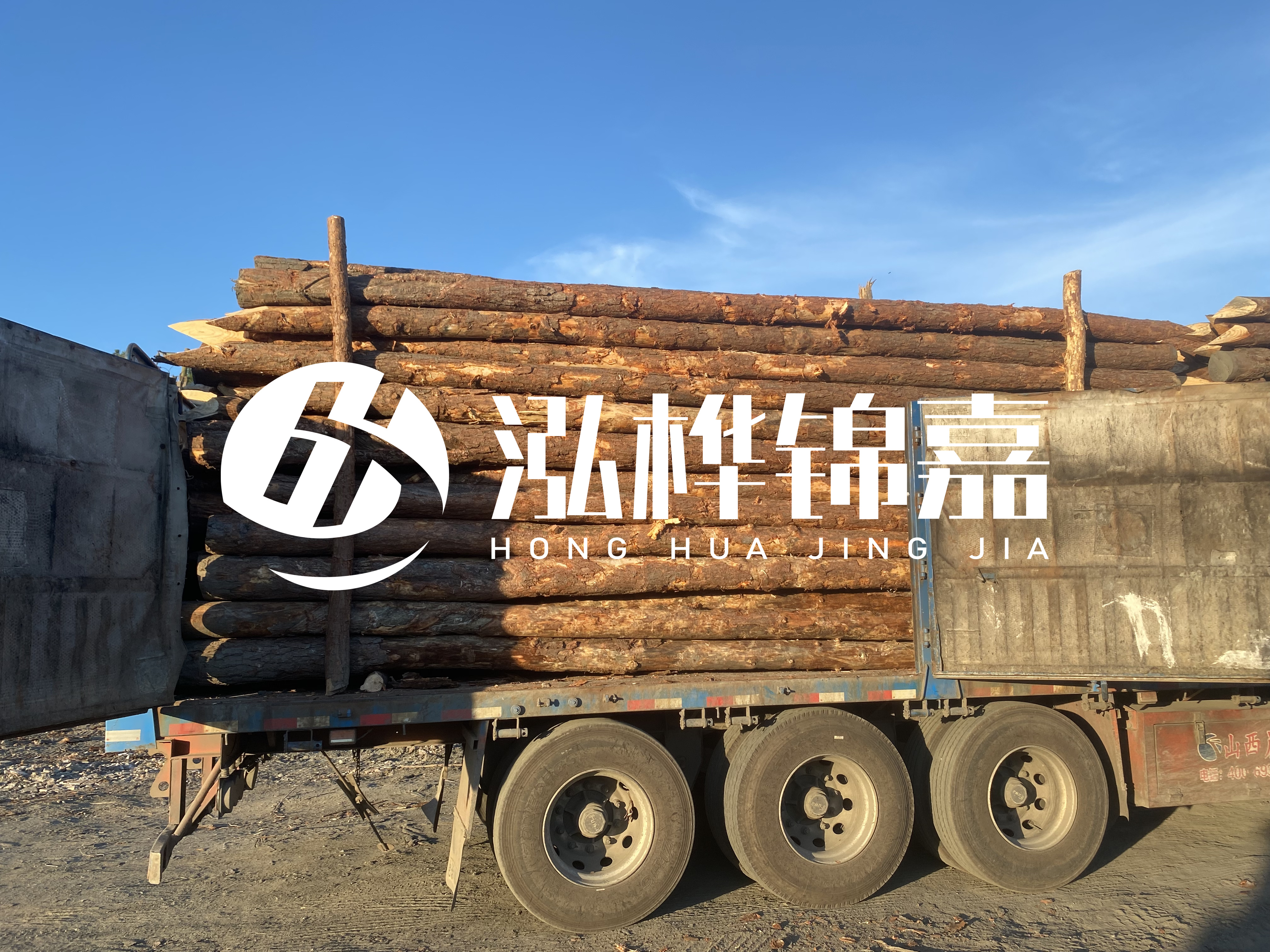 河道治理為什么要用松木樁？