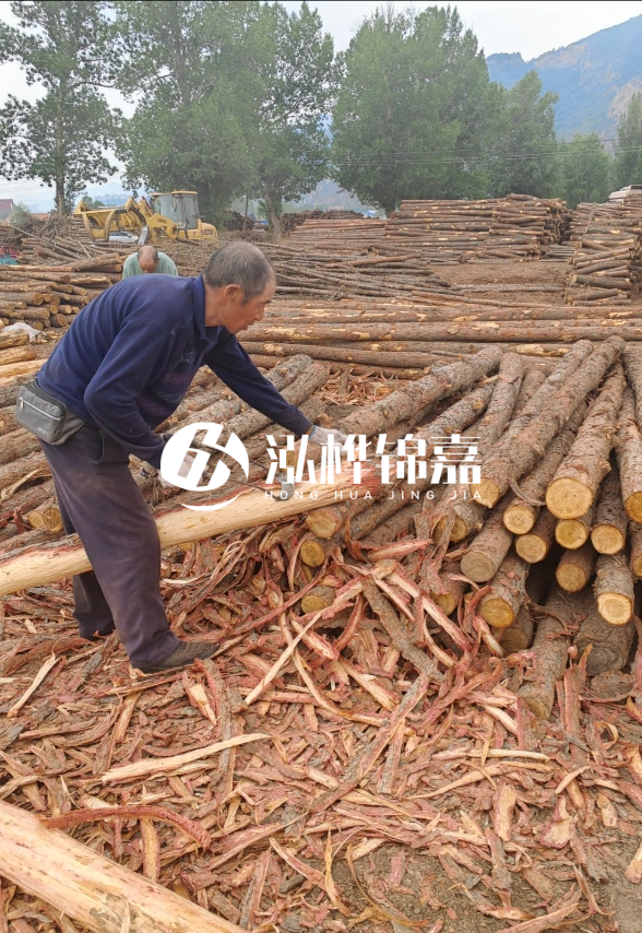 東營河道清淤專業(yè)施工隊-不同型號挖機清淤能力對比？