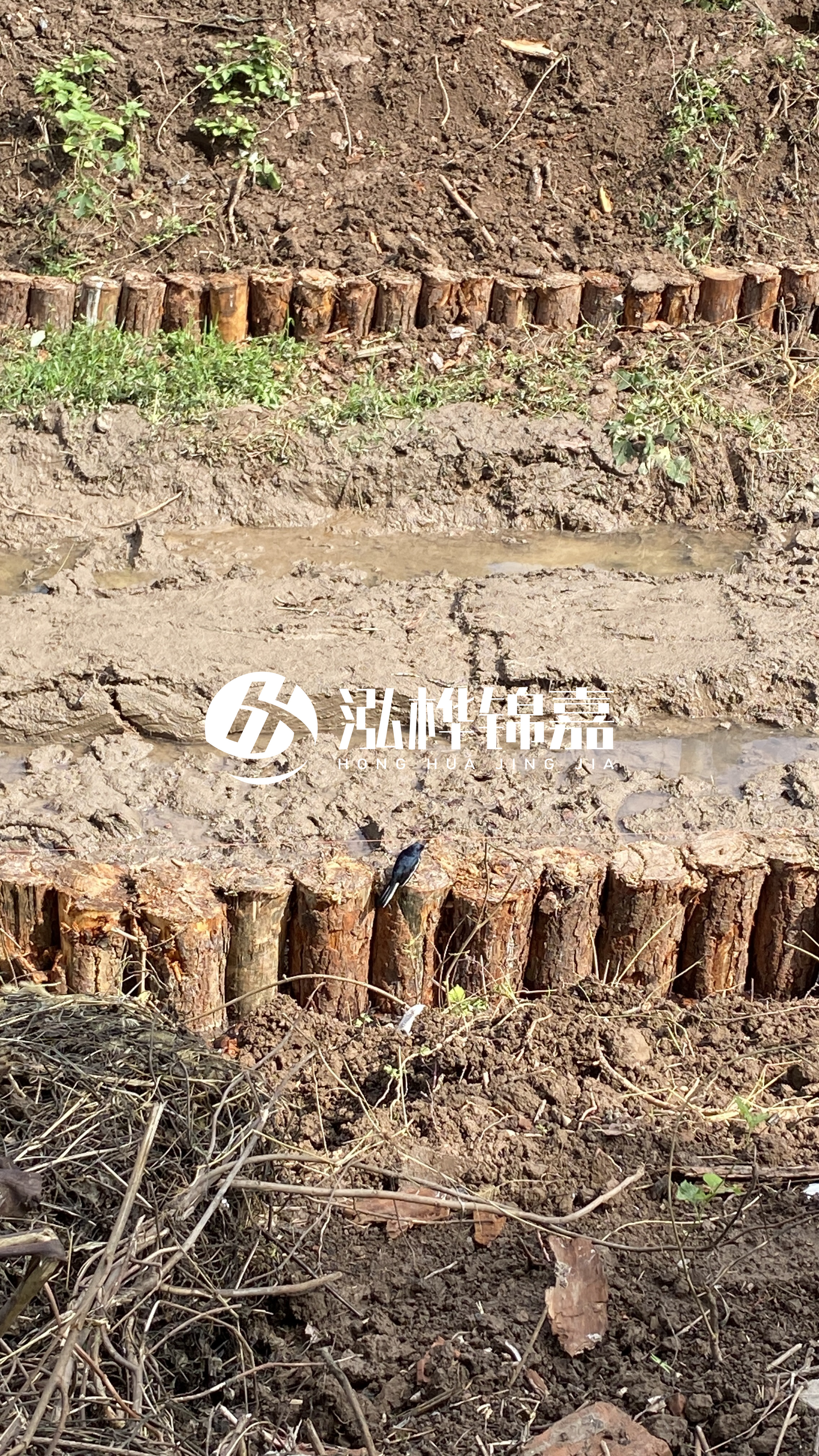 寧波河道清淤專業(yè)施工-治理河道對(duì)于老百姓有什么意義？