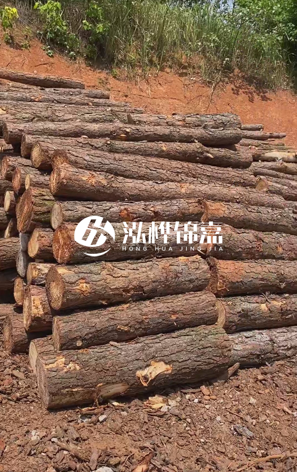 七臺河河道清淤專業(yè)施工-河道清淤的淤泥多久能干？