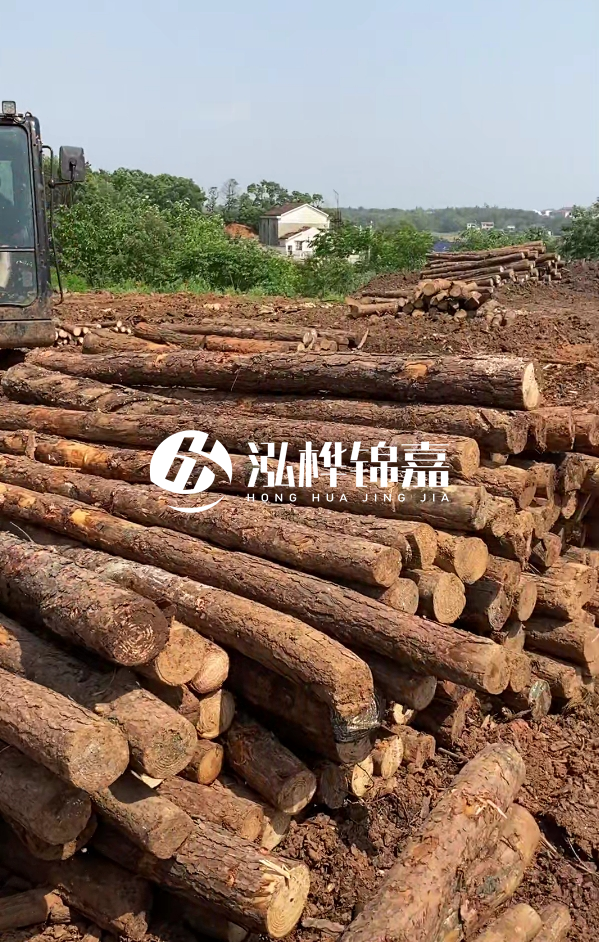 荊州挖機打木樁專業(yè)施工-河道打樁木被水浸泡后會不會變形嚴重？