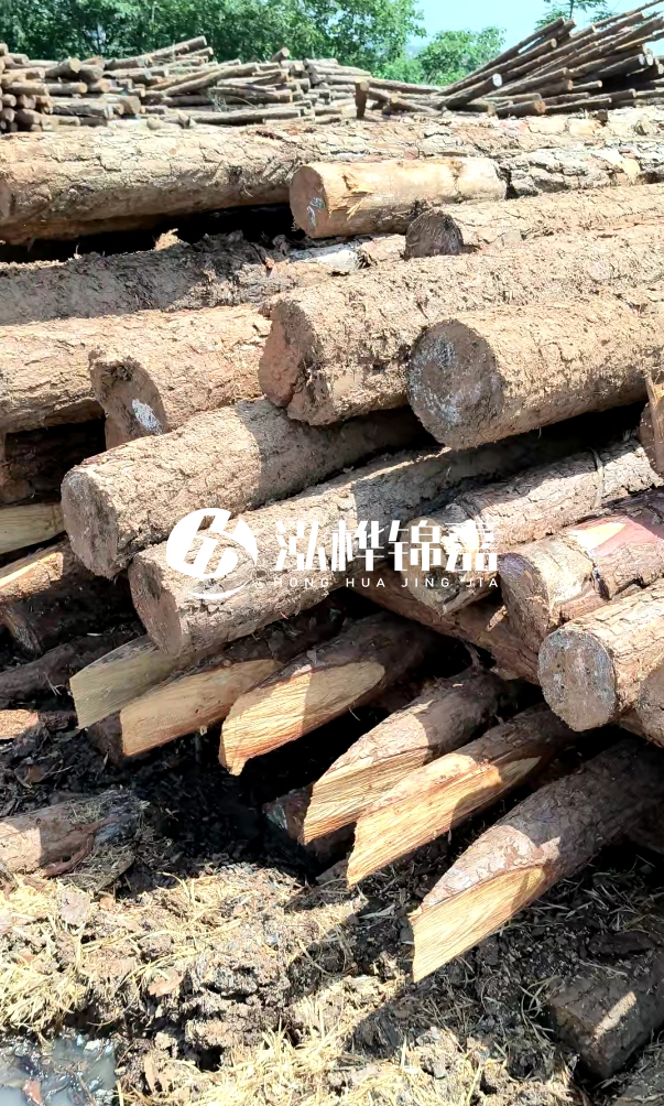 荊門挖機(jī)打木樁專業(yè)施工-河道打木樁前是否要清理河道底部雜物？