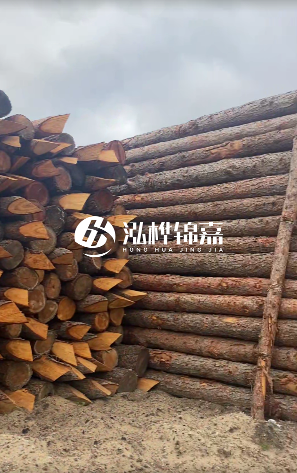 株洲松木樁源頭廠家-松木樁打樁木的價(jià)格包含運(yùn)輸費(fèi)用嗎？