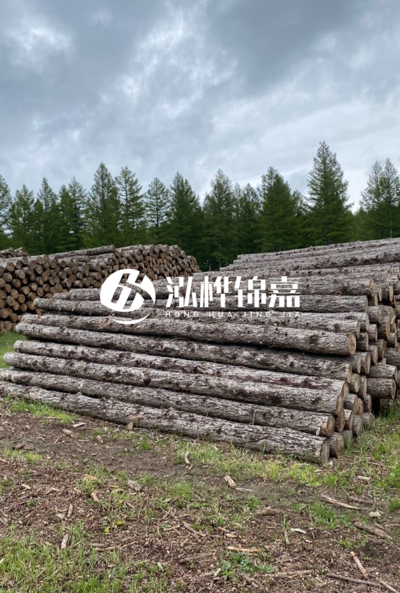 長(zhǎng)沙松木樁源頭廠家-如何甄別松木樁打樁木的質(zhì)量好壞？