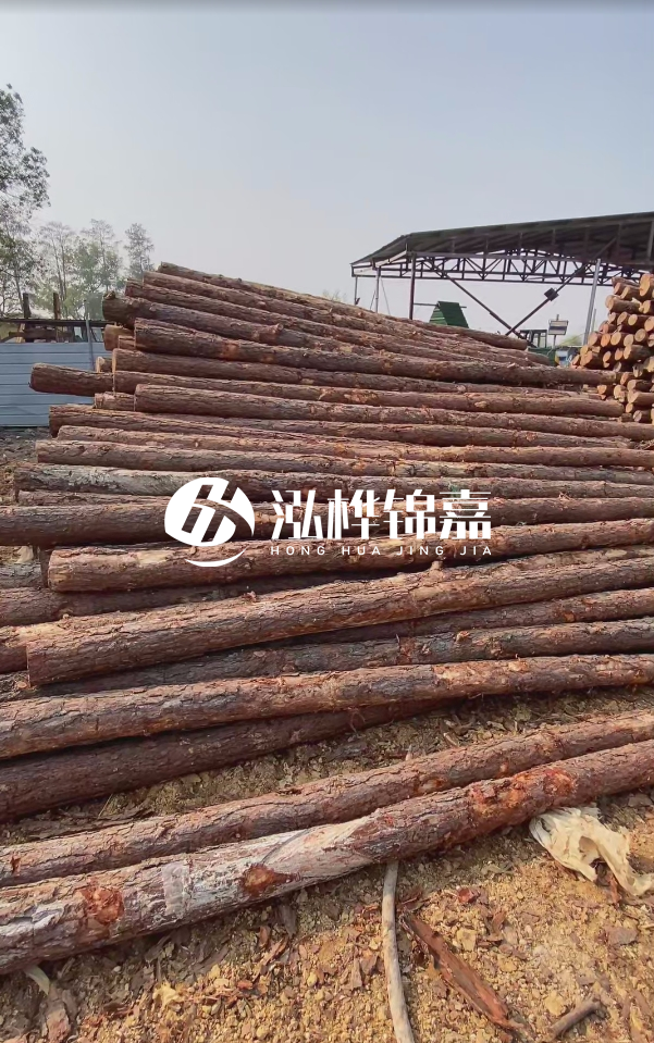 岳陽(yáng)松木樁源頭廠家-河道木樁護(hù)岸能否抵御洪水沖擊？