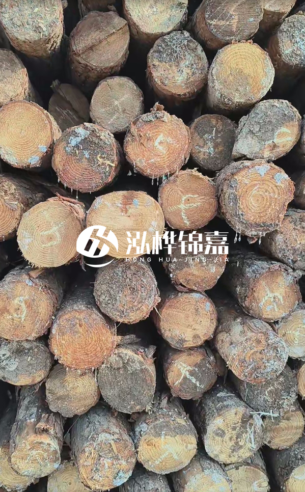 邵陽(yáng)松木樁源頭廠家-松木樁護(hù)岸適合哪些地理環(huán)境？