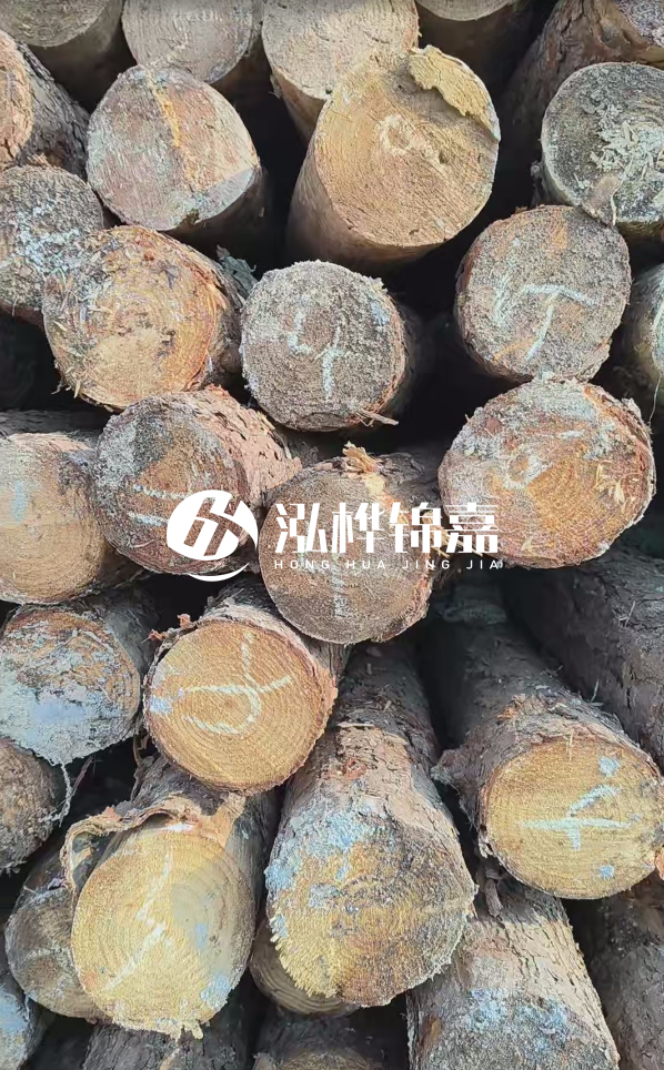 湛江松木樁源頭廠家-松木樁的直徑對河道打樁效果有何影響？