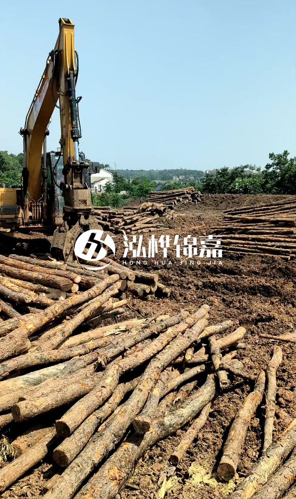 江門松木樁源頭廠家-河道木樁的防腐處理有哪些方法？