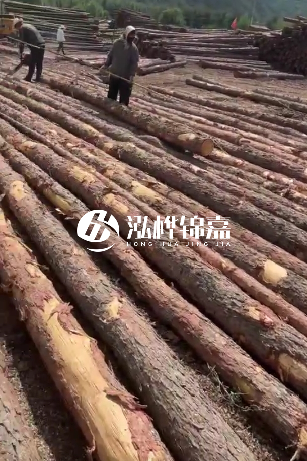 ?？谒赡緲对搭^廠家-松木樁最長可以做多少米？