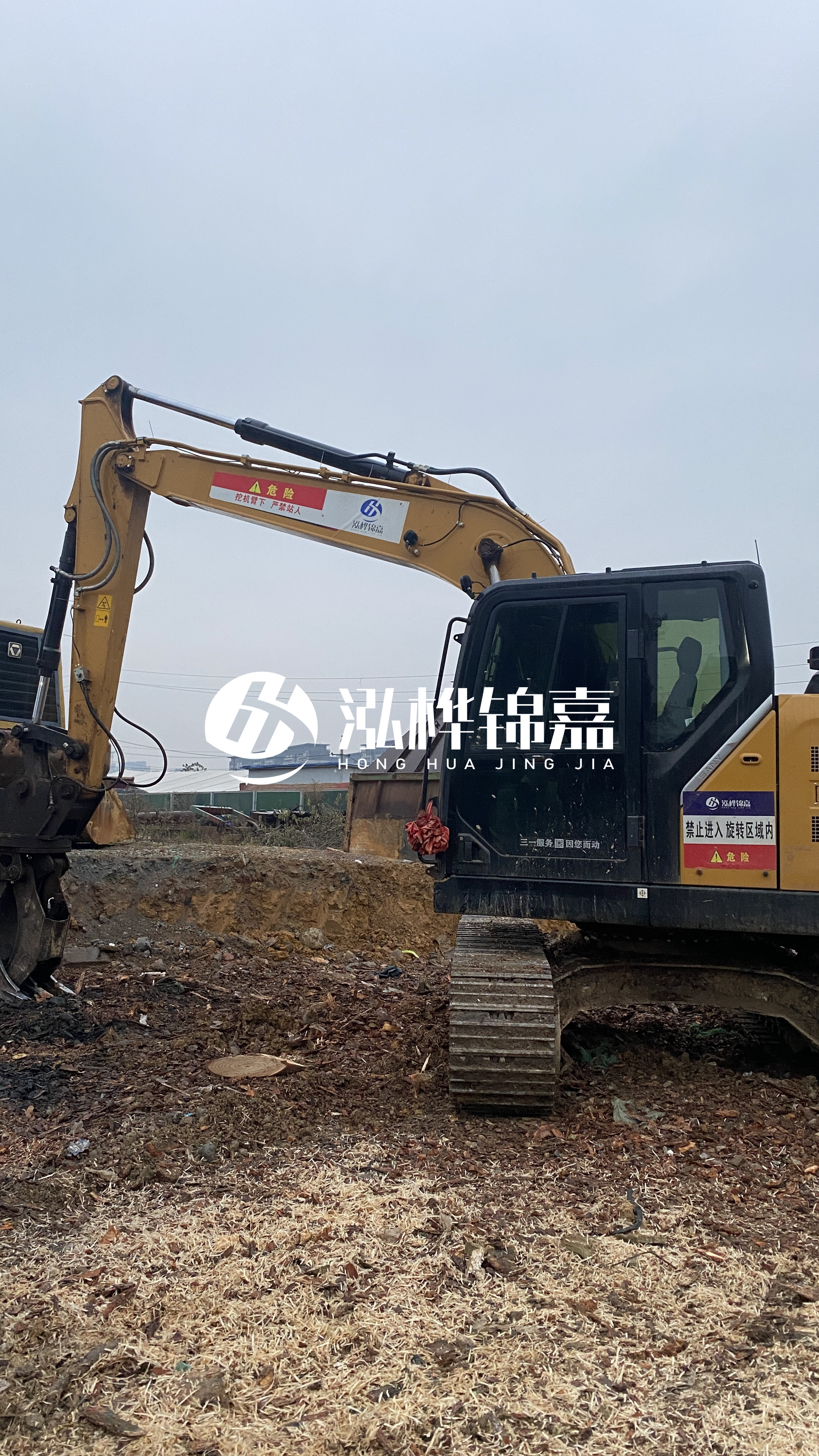 河池松木樁源頭廠家-河道木材松木樁怎么選？