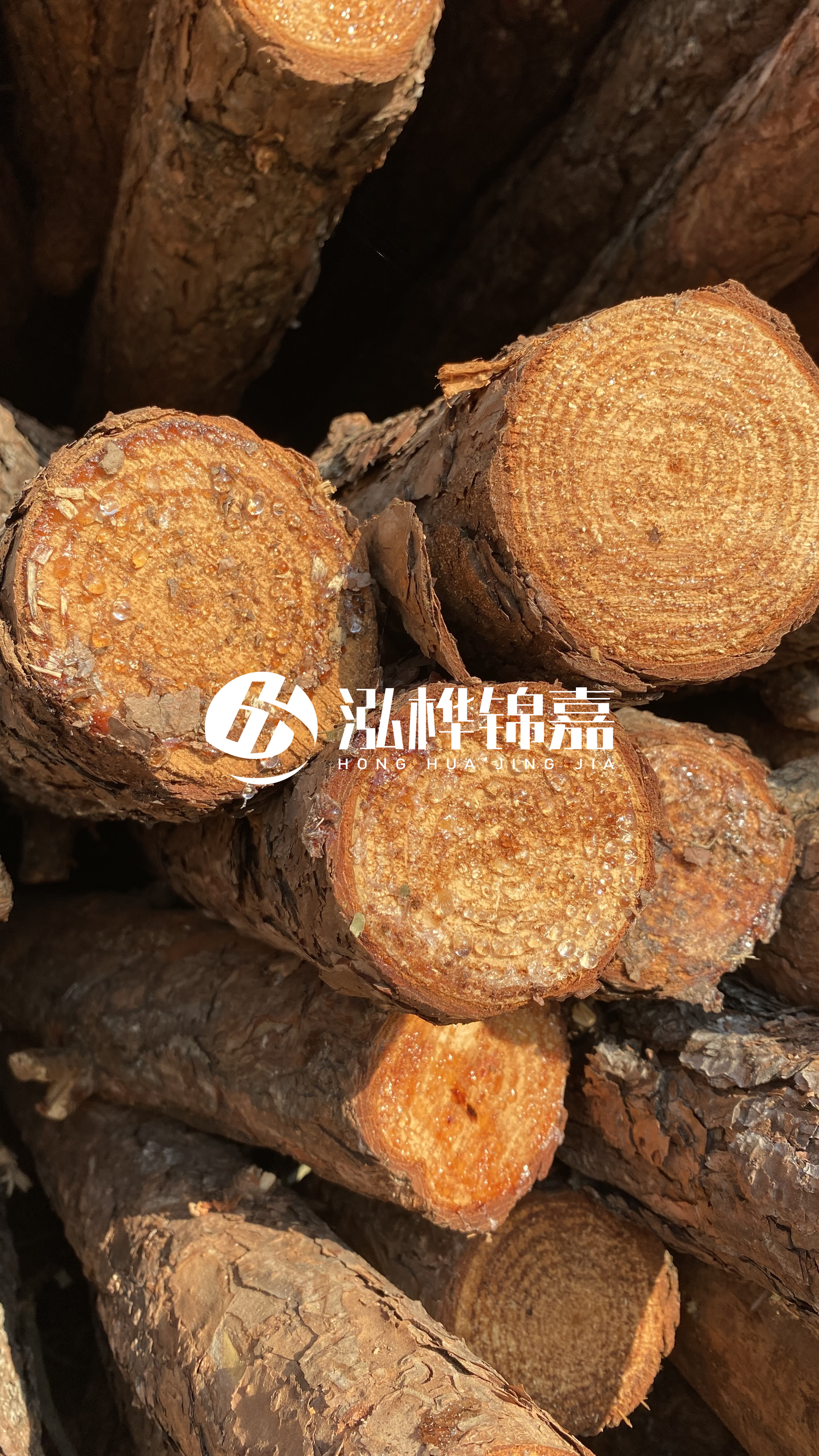 南充松木樁源頭廠家-木樁護(hù)坡優(yōu)缺點有哪些？