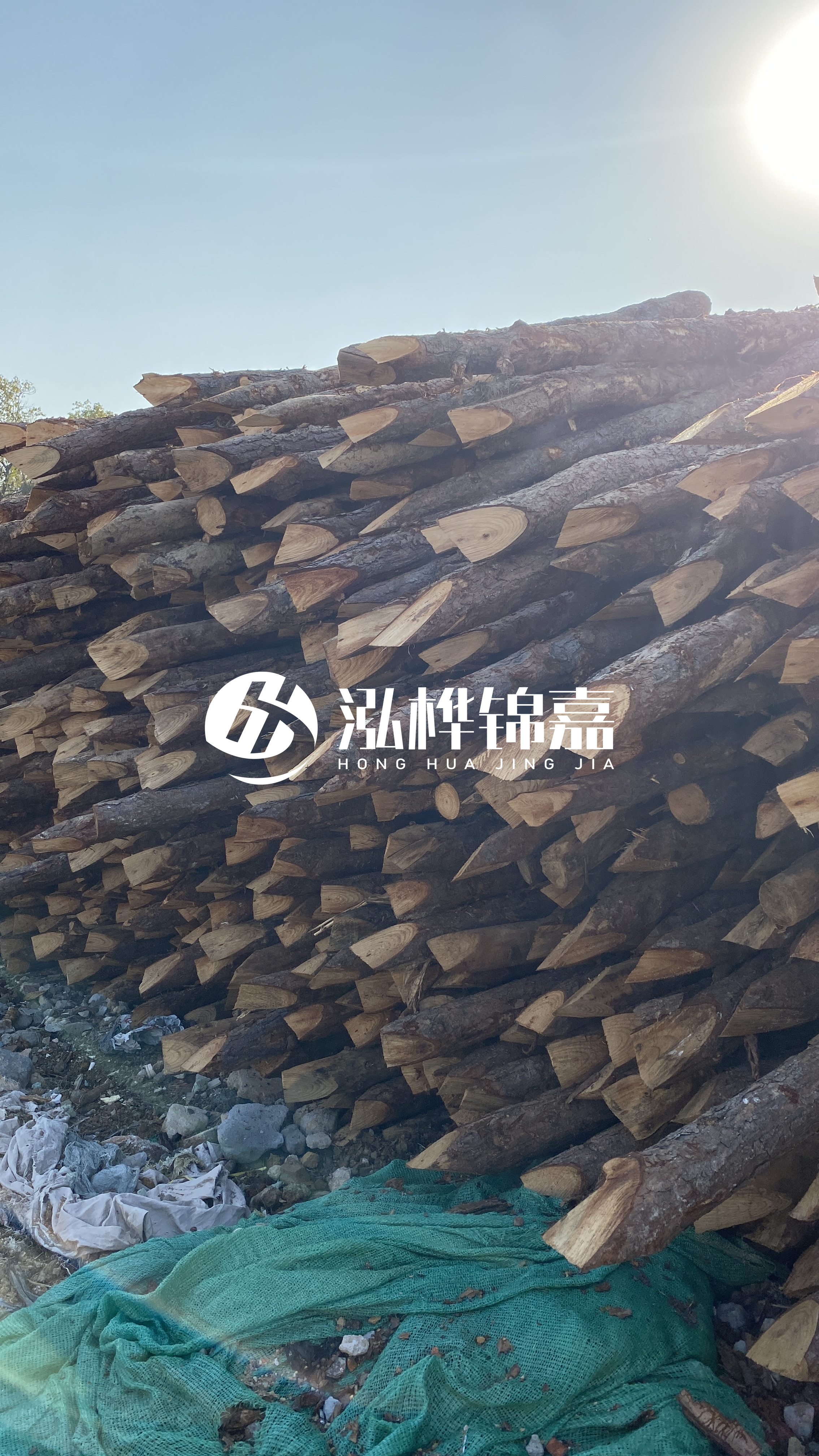 巴中松木樁源頭廠家-原木打樁木是否適合所有地質(zhì)條件？