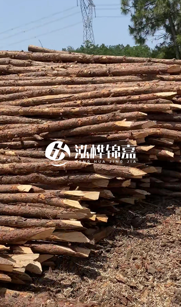 銅仁市挖機打木樁專業(yè)施工-河道松木樁水面需要預留多少？