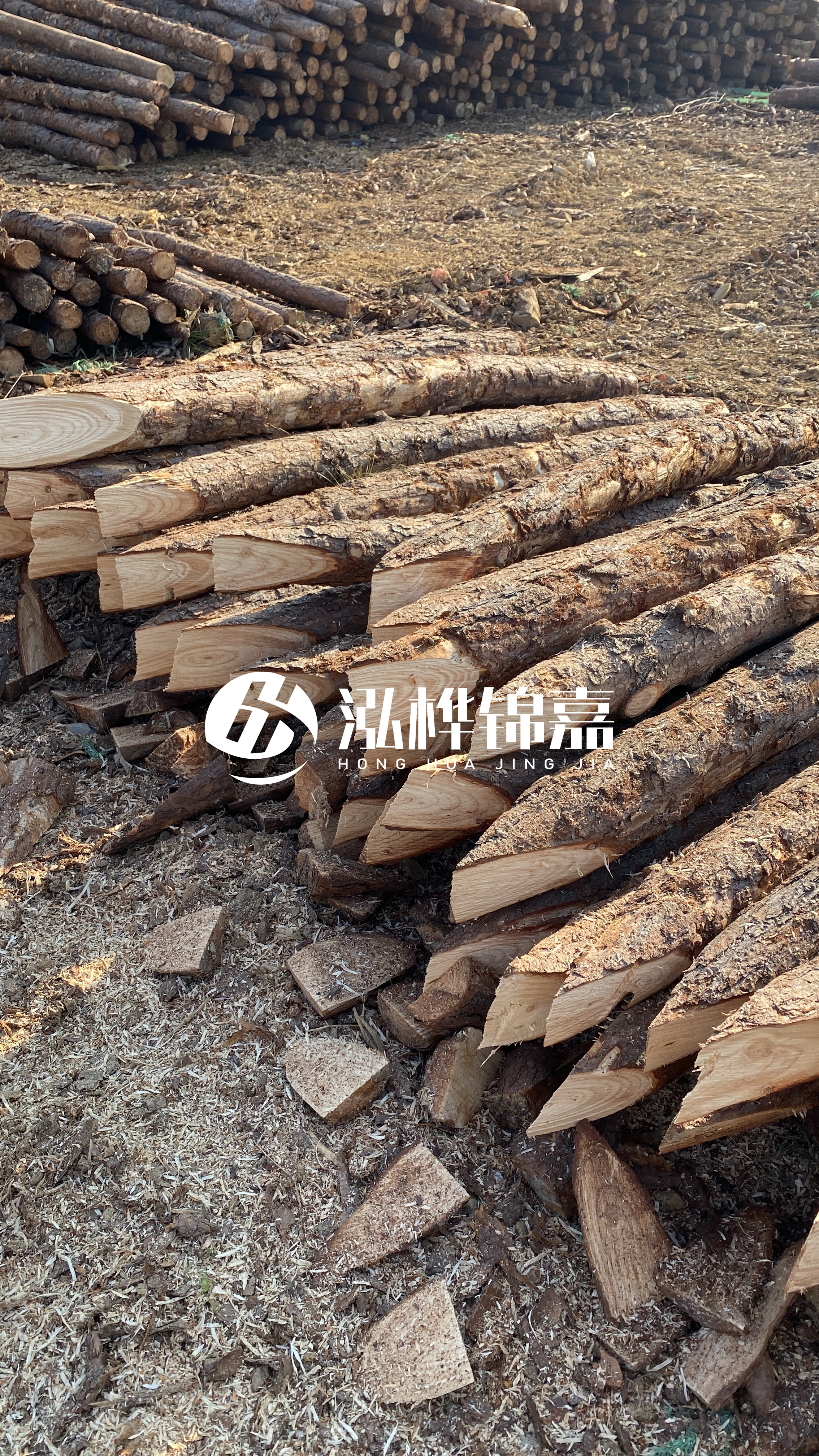 普洱松木樁源頭廠家-油松打樁木的抗壓強度是多少？