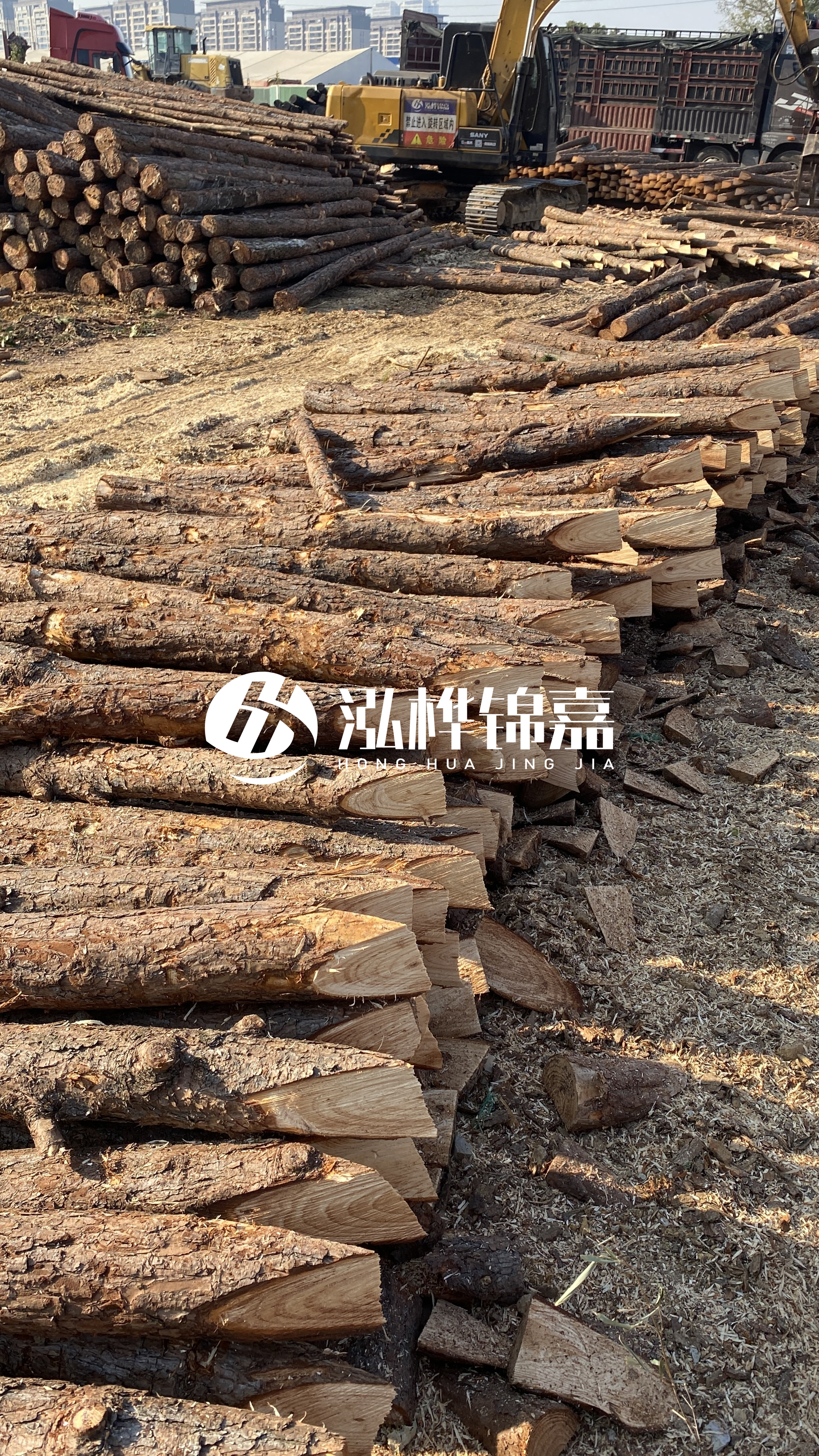 延安松木樁批發(fā)源頭廠家-杉木樁直徑按大頭算嗎？