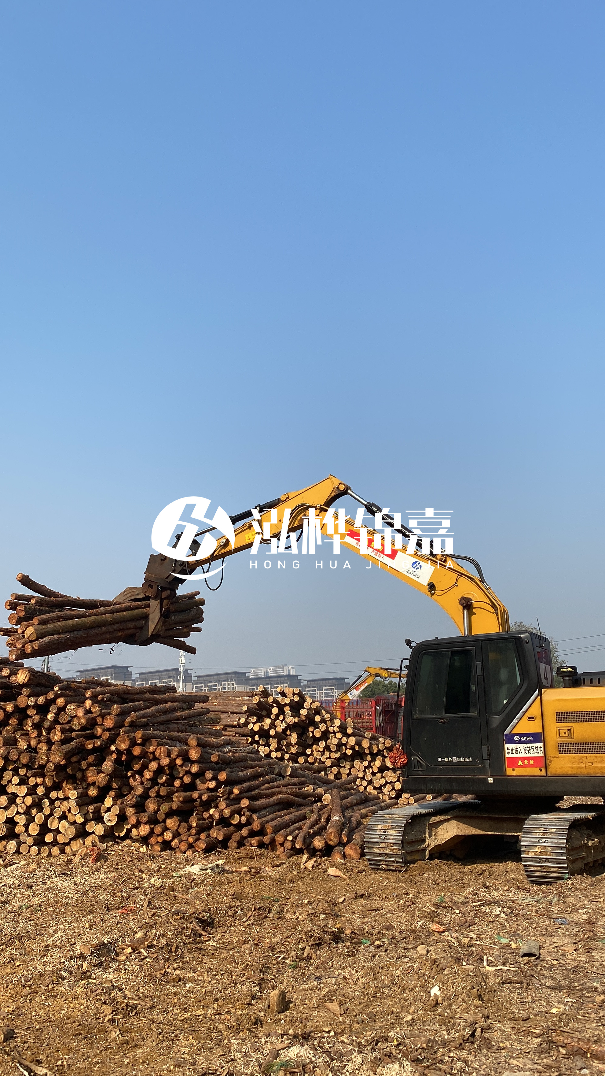 嘉峪關(guān)松木樁批發(fā)源頭廠家-6米杉木樁價格多少？