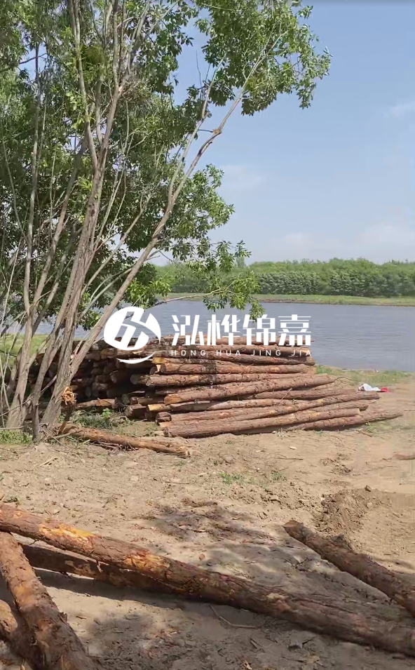 慶陽挖機(jī)打木樁專業(yè)施工-松木打樁過程中如何避免木材開裂？