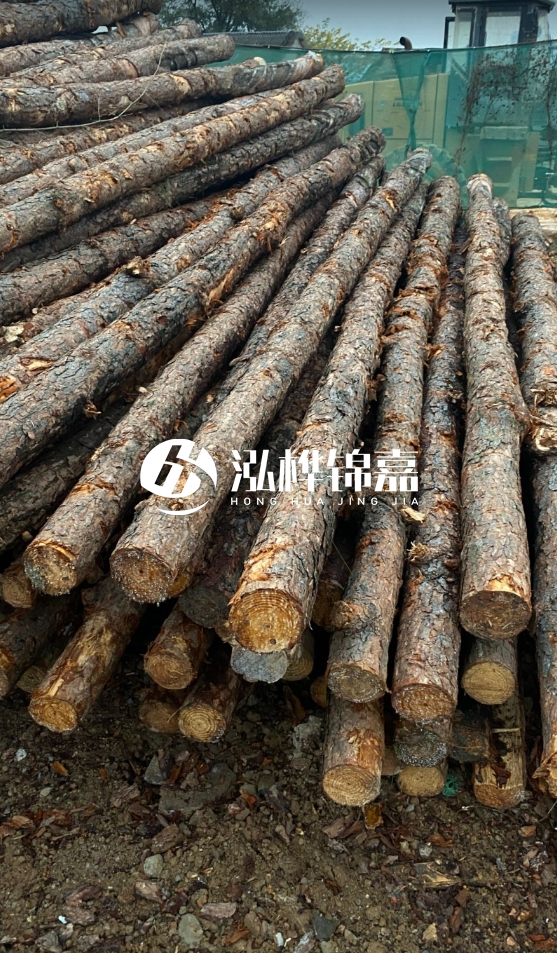 徐州松木樁批發(fā)源頭廠家-松木樁需要做防腐嗎？
