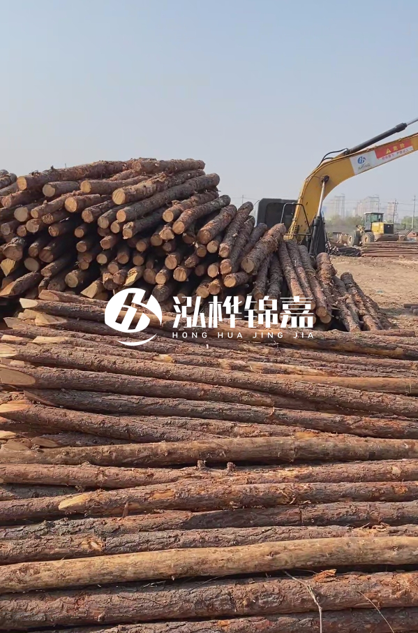 油松用于打樁木到底好不好？讓專業(yè)打樁隊告訴你！