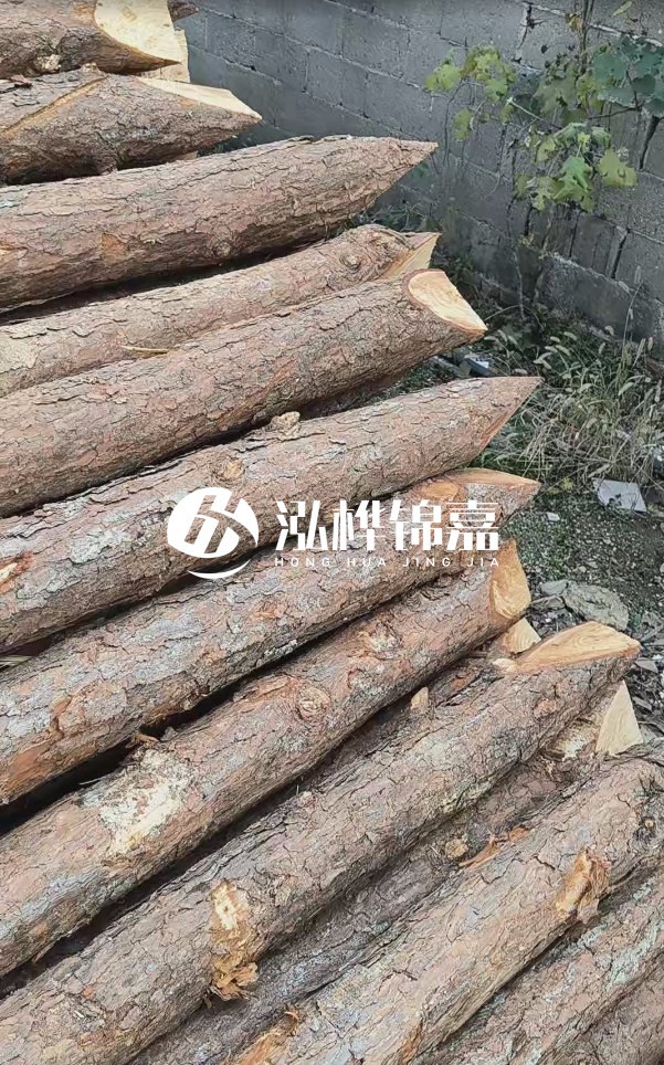 松木樁哪里能大量供應(yīng)？4米20公分松木樁價(jià)格是多少？