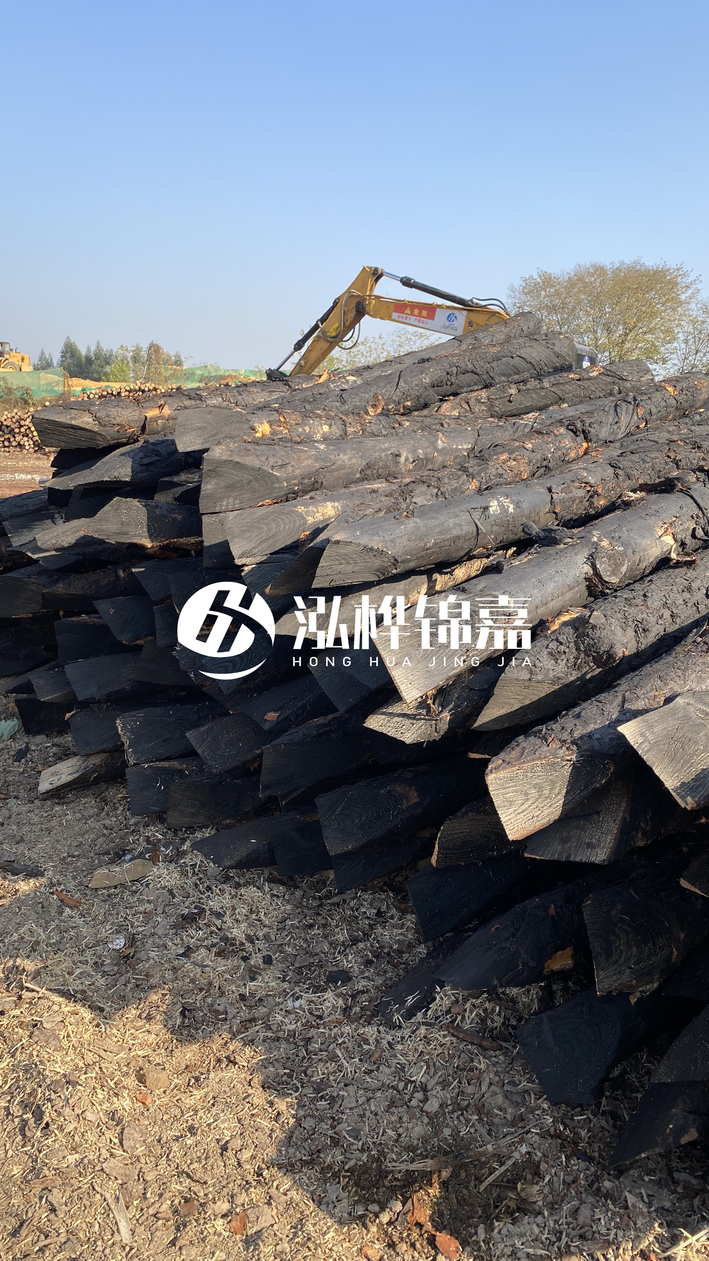 如何辨別優(yōu)質(zhì)的松木樁廠家？助你避開雷區(qū)！