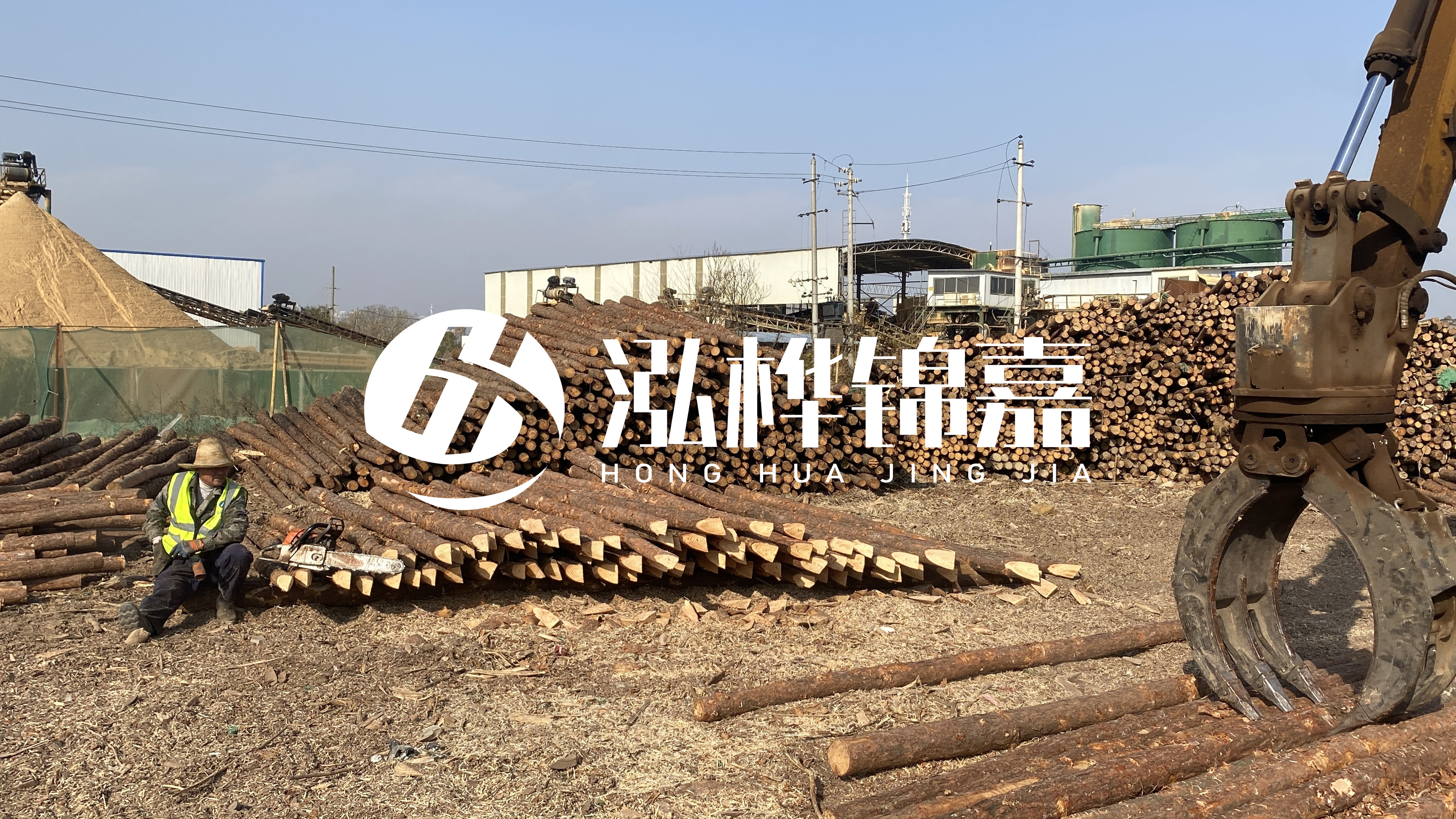 河道木材松木樁怎么選？松木樁源頭廠家告訴你！