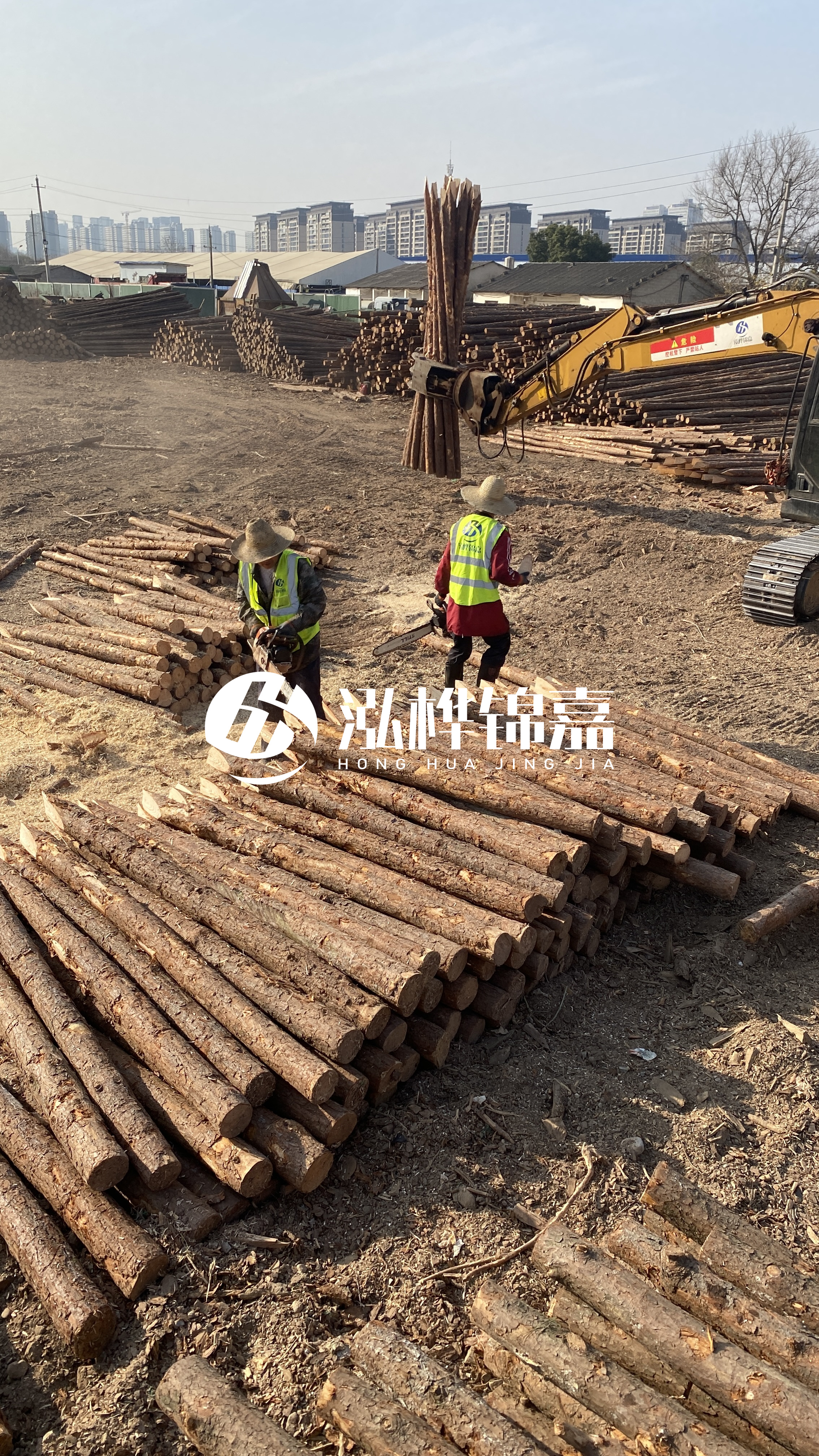 松木樁梢徑怎么測量？實(shí)用教程！一文教會你！