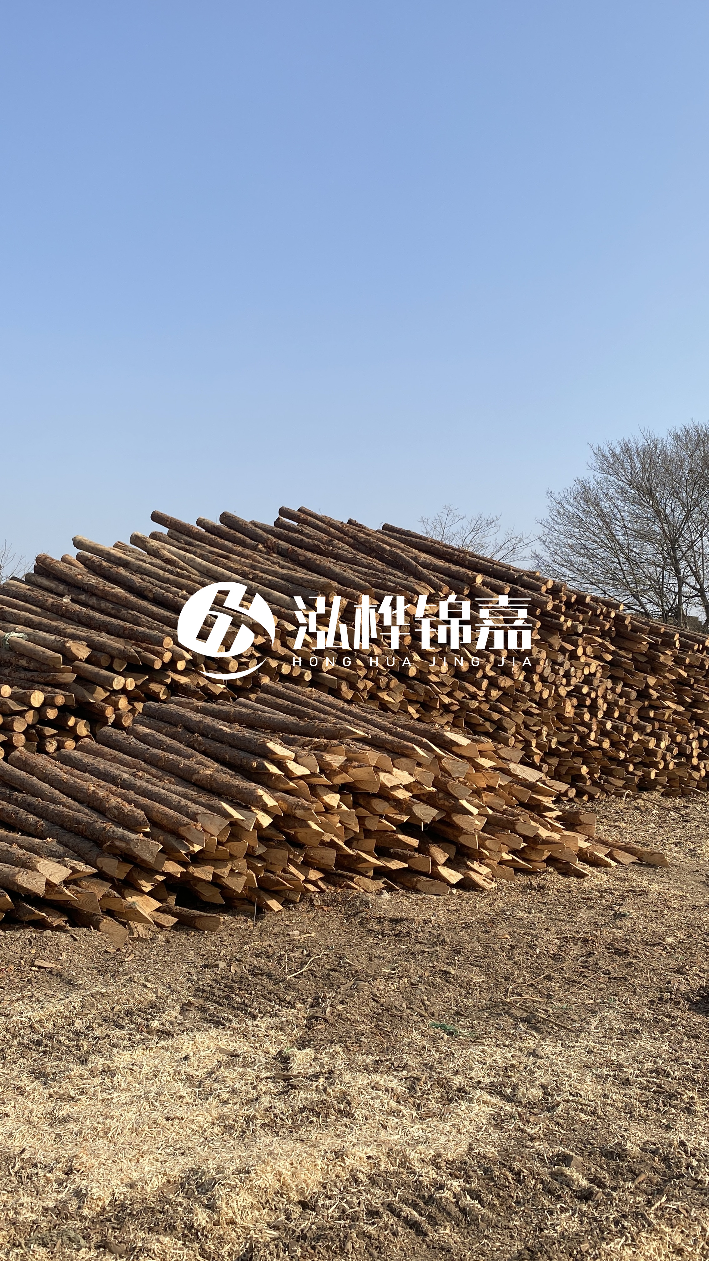 松木樁頭徑比尾徑大多少？計(jì)算方式是什么？