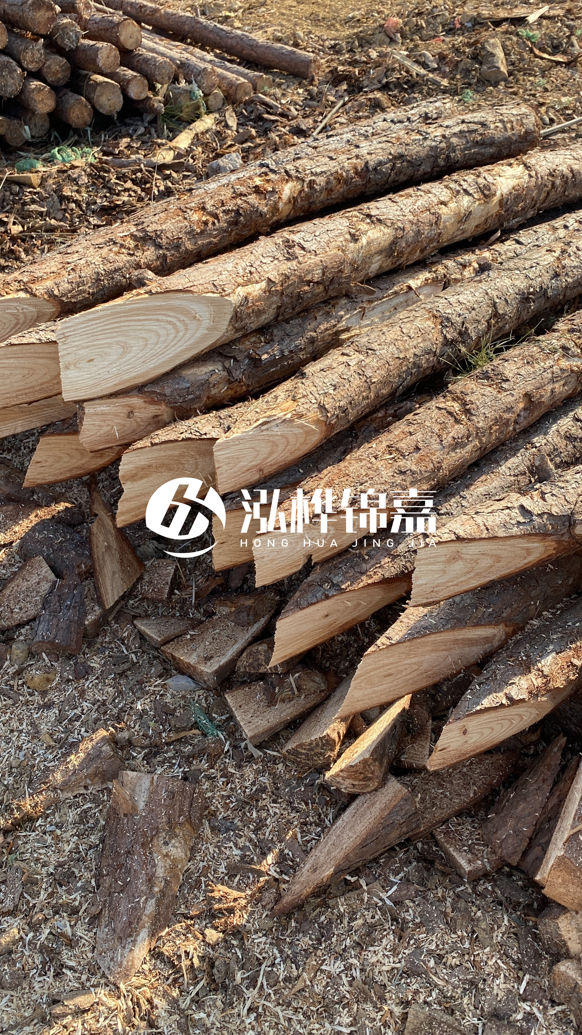 4米小頭直徑10-12公分松木樁價(jià)格揭秘：究竟多少錢一根？快來了解！