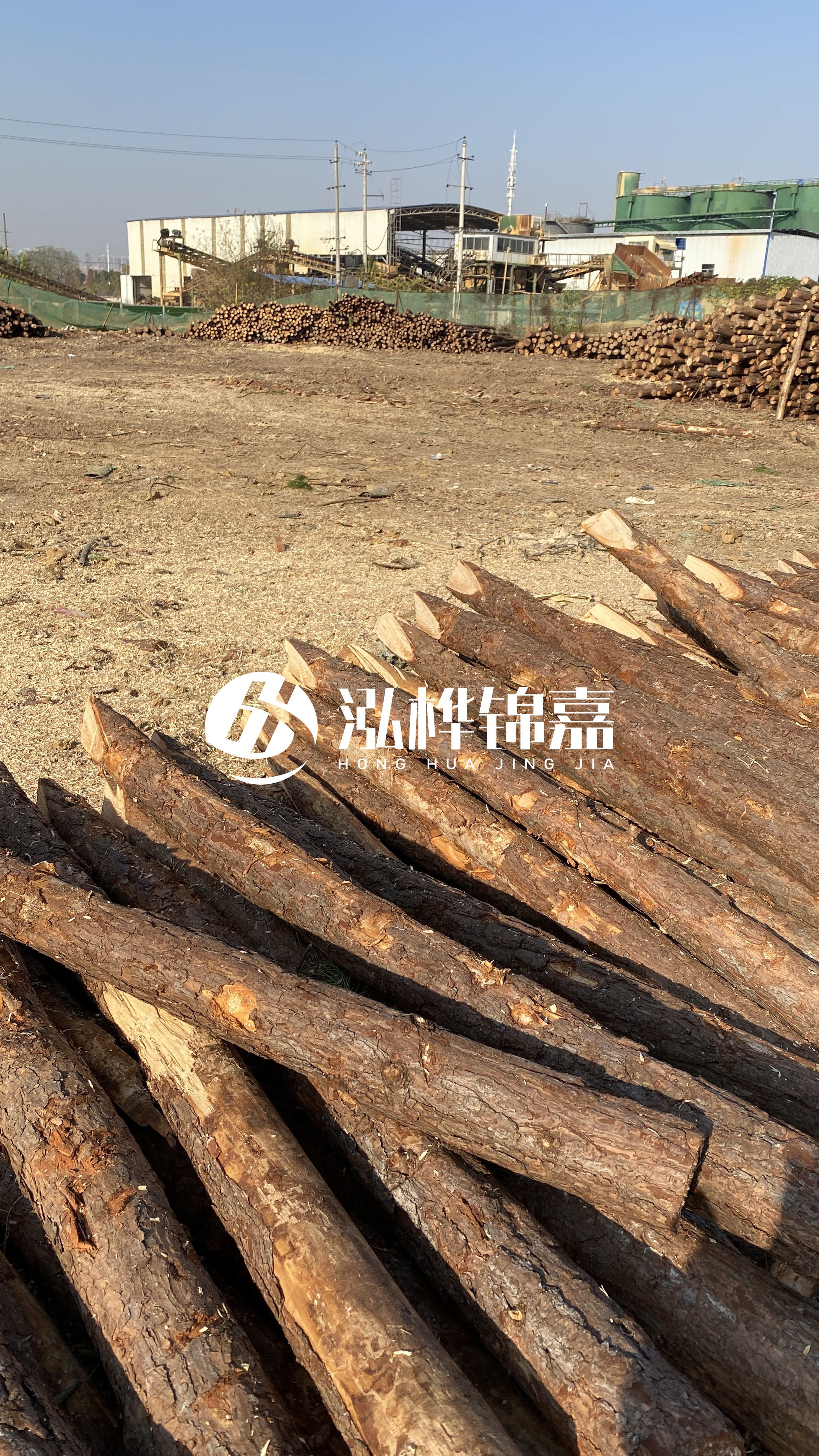 松木樁施工要找有資質(zhì)的嗎？松木樁施工背后門道多，看完就懂了！