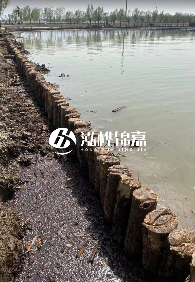 松木樁為什么要一根一根挨著打？秘密在這里！看完恍然大悟！