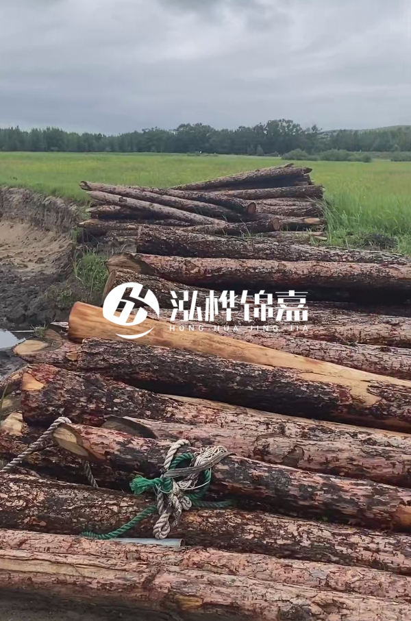 打樁木樁的選購標準是什么？材質(zhì)、尺寸與強度，哪些標準不能忽視？