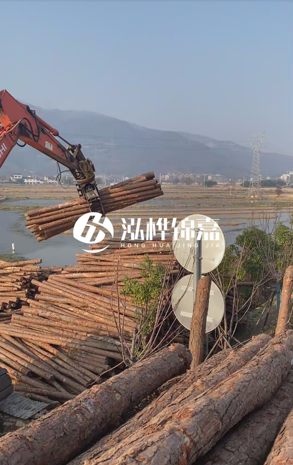 松木樁是否需要削皮呢？松木樁為什么不會(huì)爛掉呢？