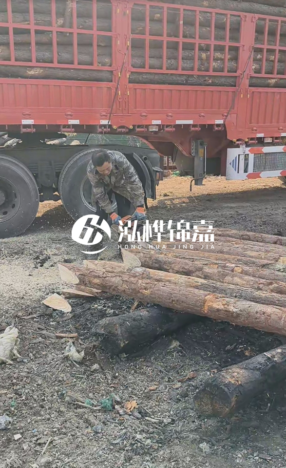 2米松木樁多少錢一根？15-20CM直徑價格是多少？