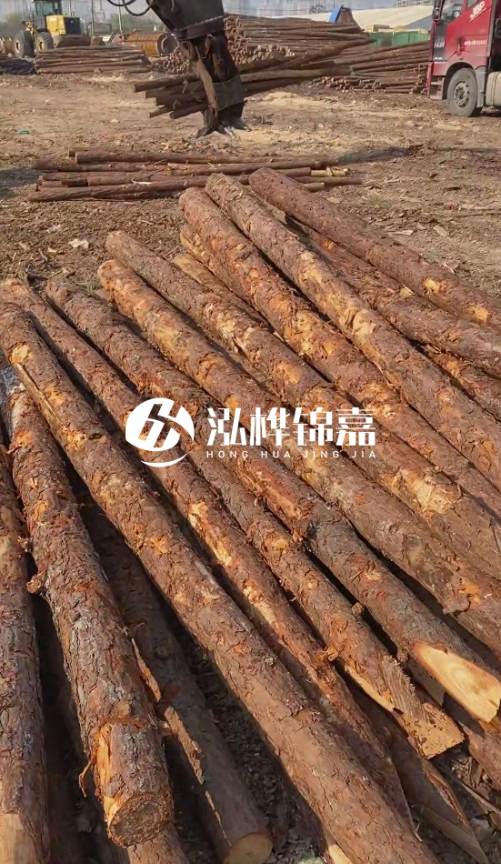 4.5米松木樁直徑14一根多少錢？5米14厘米多少錢？