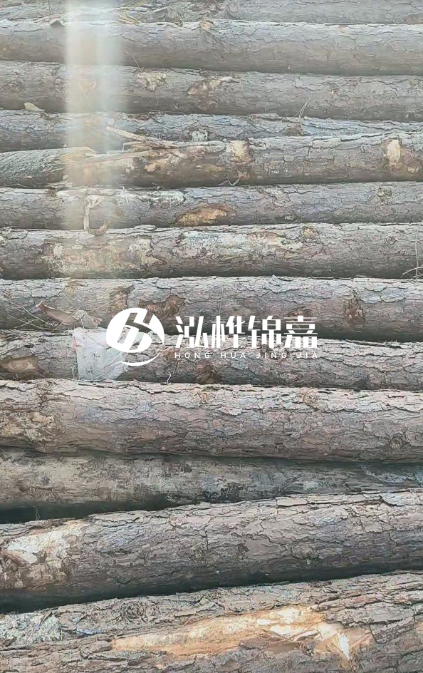 松木樁5米100mm一根多少錢-5米140mm多少錢？