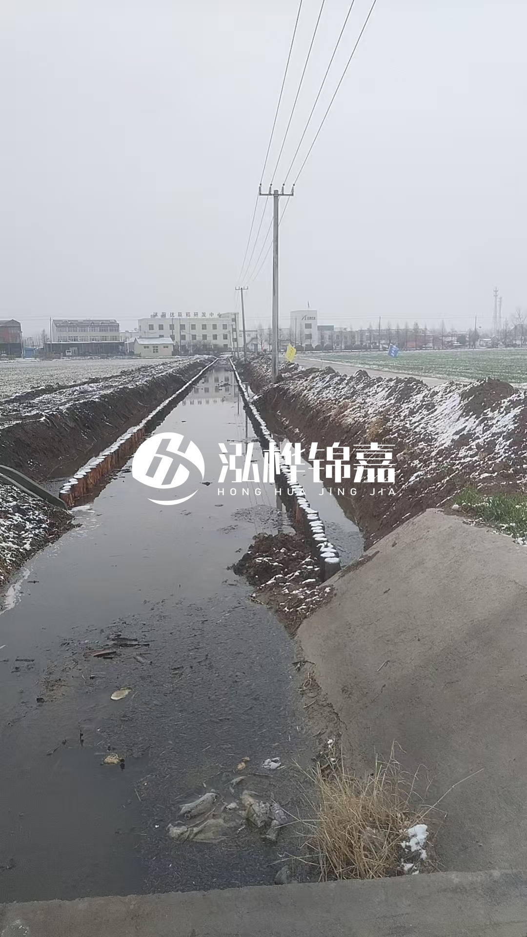 4米松木樁和杉木樁價格相差多少？哪個更便宜？