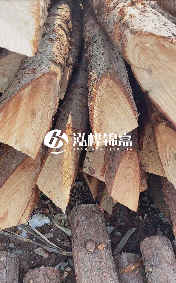 3米杉木樁梢頭12大頭多少？賣多少錢一根？