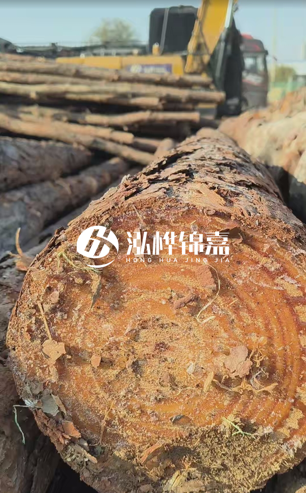 杉木樁價格多少錢一方-3米直徑14公分杉木樁價格？