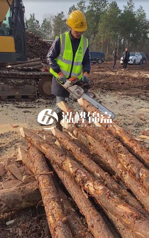 松木樁樁長(zhǎng)1.5米稍徑12多少錢一根？樁長(zhǎng)1.5米稍徑12大頭多少？