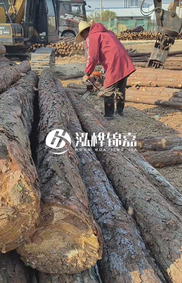 長(zhǎng)沙打樁木批發(fā)廠家在哪里？聯(lián)系方式是什么？