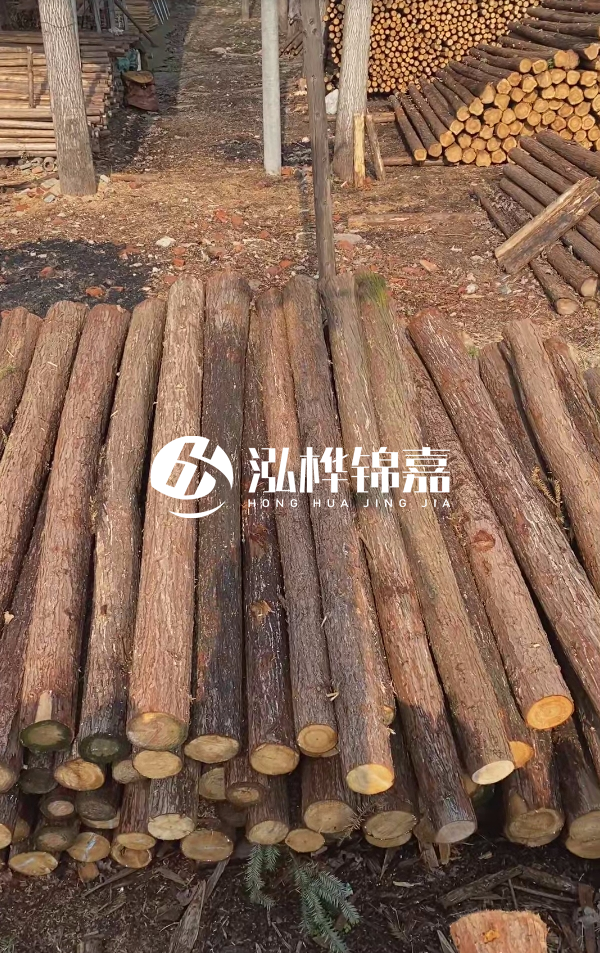 河道護(hù)坡選松木樁還是杉木樁？河道木樁一根多少錢？