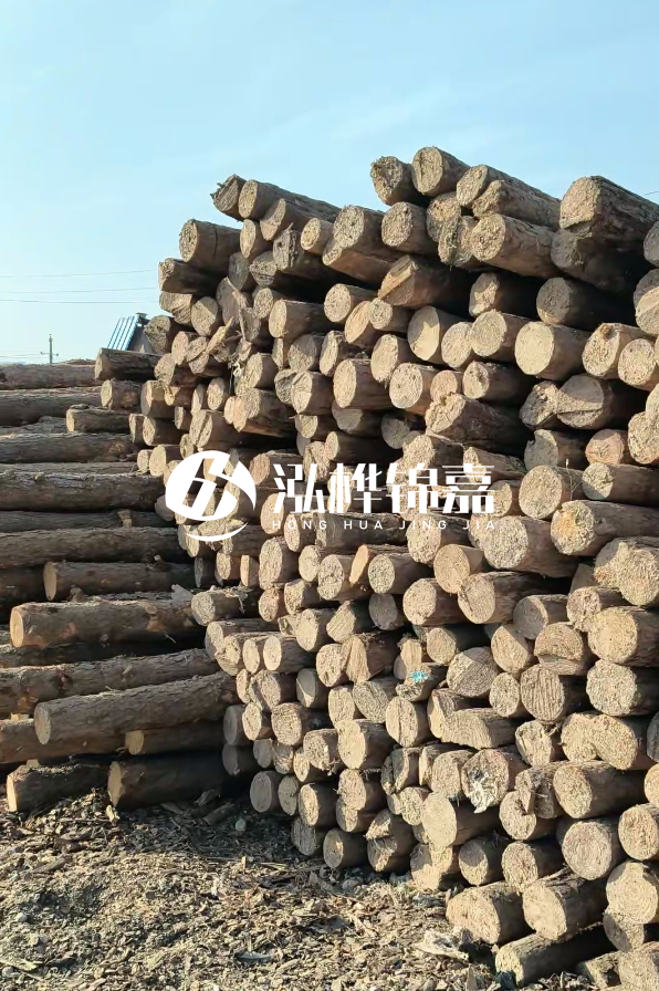 江西哪里有松木樁賣-4米12-14公分松木樁價(jià)格揭秘！