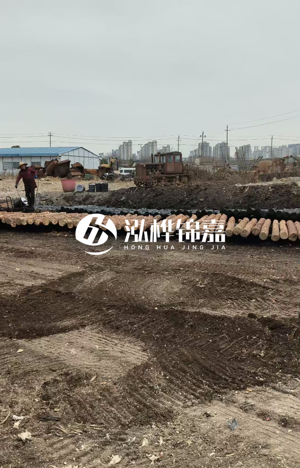 安徽打樁木材哪里買(mǎi)最好-5米直徑12杉木樁送到安徽多少錢(qián)？